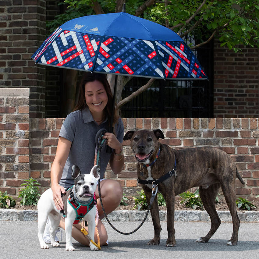 Folds of Honor Stick Umbrella Freedom, , hi-res