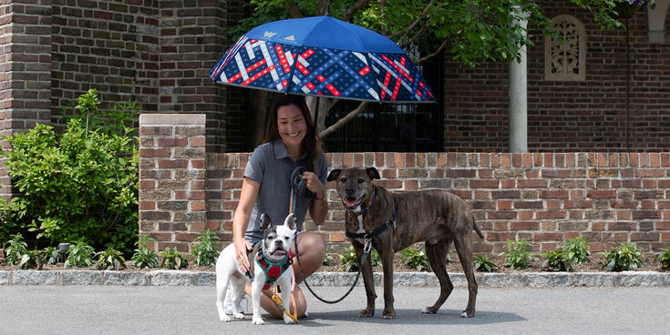 Folds of Honor Stick Umbrella Freedom, , hi-res