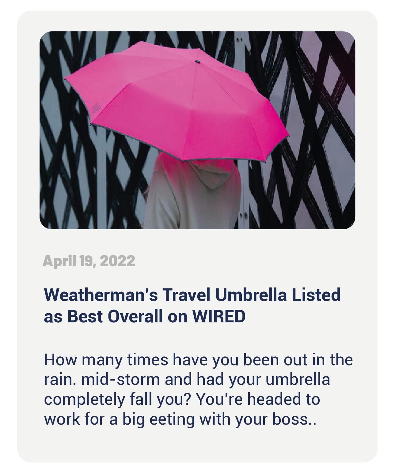 Best Overall Umbrella