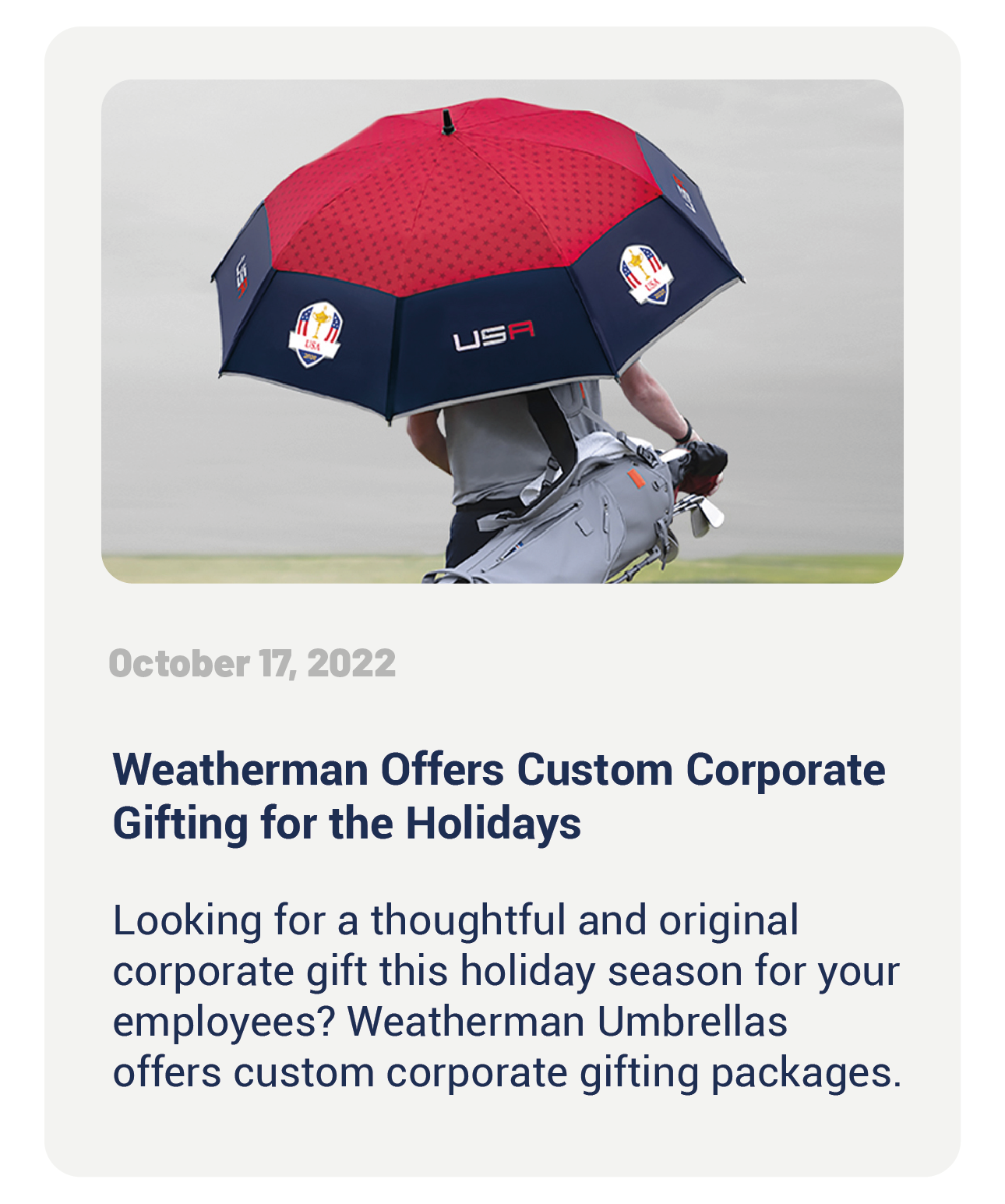 Custom Corporate Gifting Umbrellas